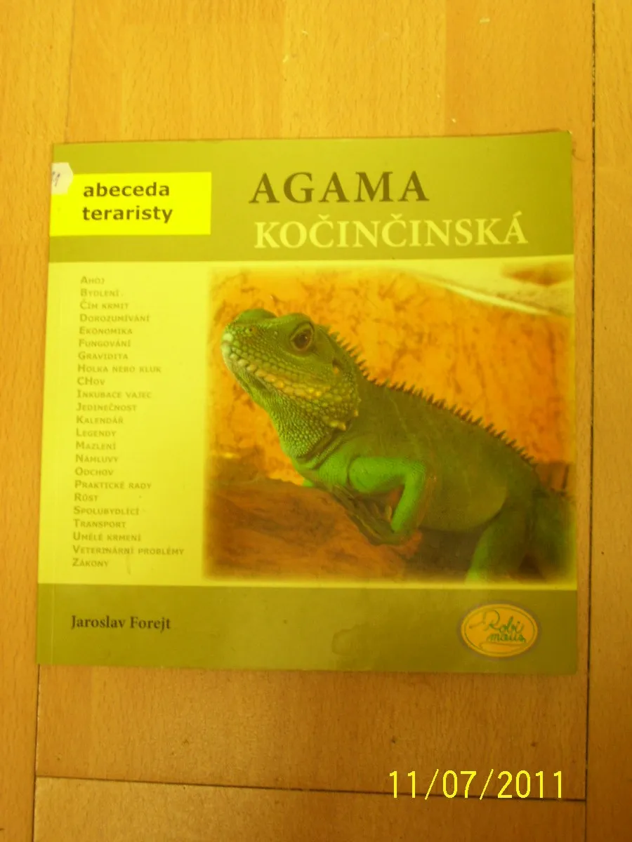 Agama Končinčinská