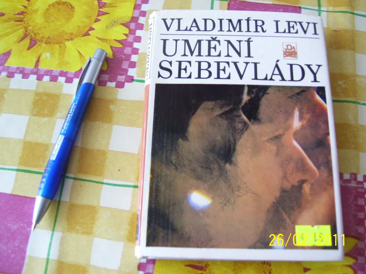 Umenie sebevlády