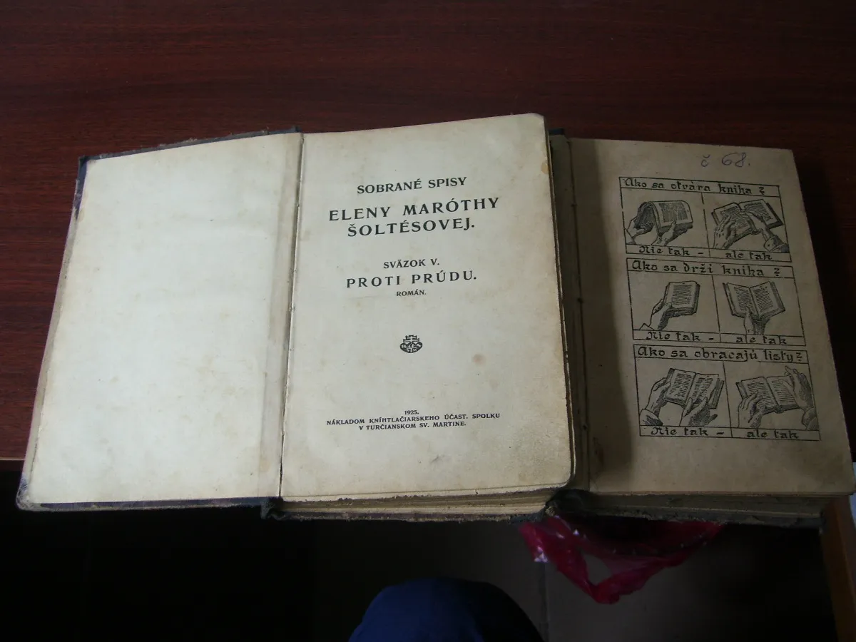Proti prúdu Šoltésová 1925