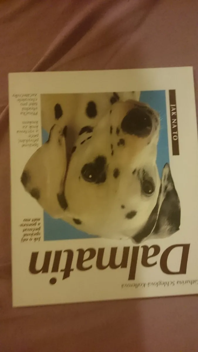 Vydavatelstvo Vašut