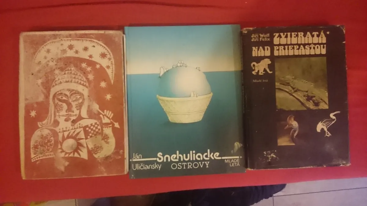 Vydavatelstvo Mladé Letá