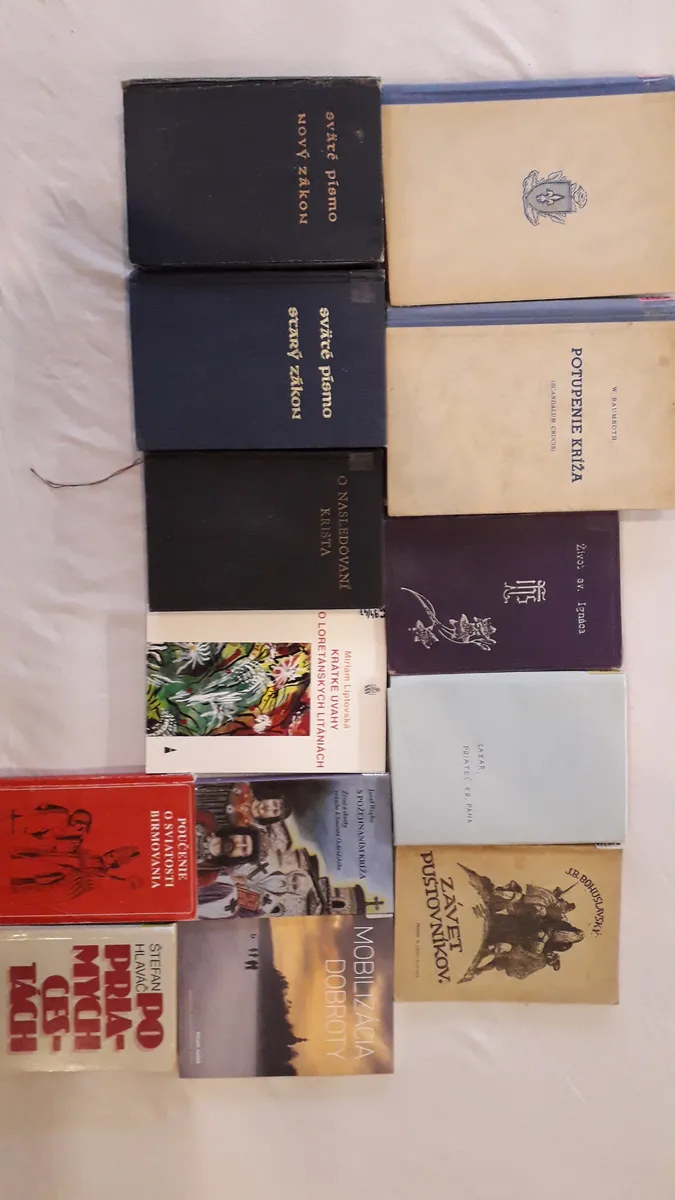 Dávka kníh júni 2025 #1041